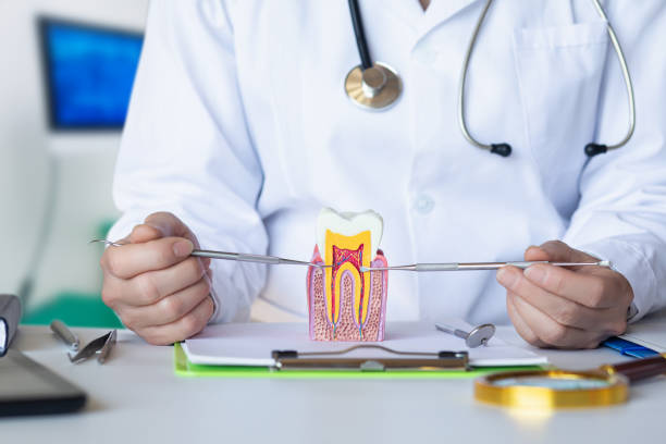 Best Emergency Dentist for Knocked-Out Tooth in Delhi Hills, OH
